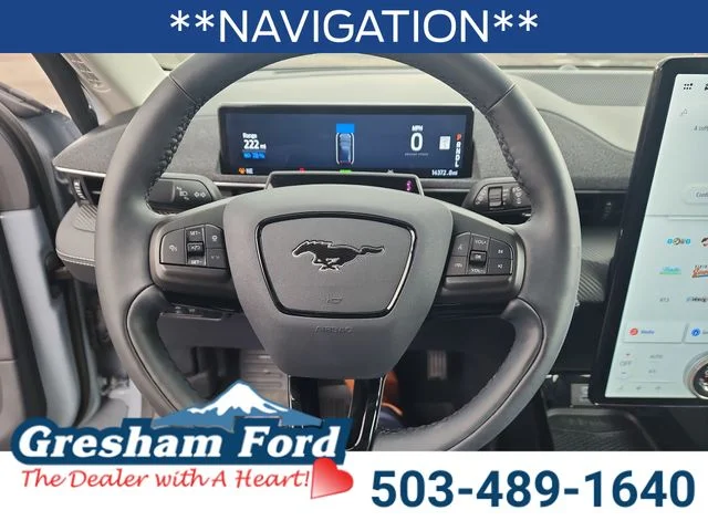 Used 2024 Gray Metallic Ford Premium image 18