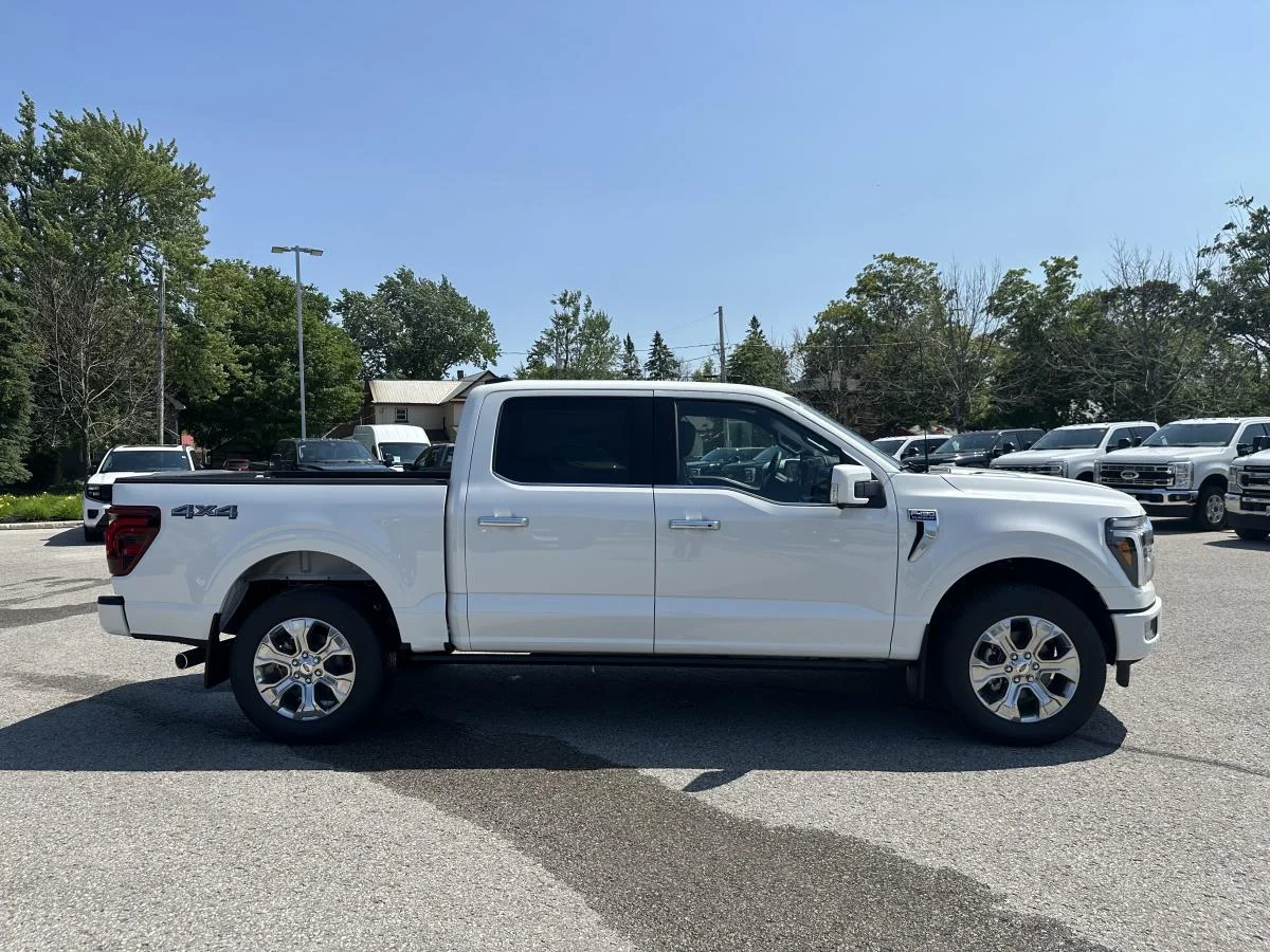 New 2026 White Ford Platinum image 4