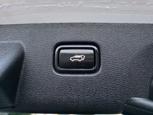 Used 2023 White Pearl Kia X-Line image 11