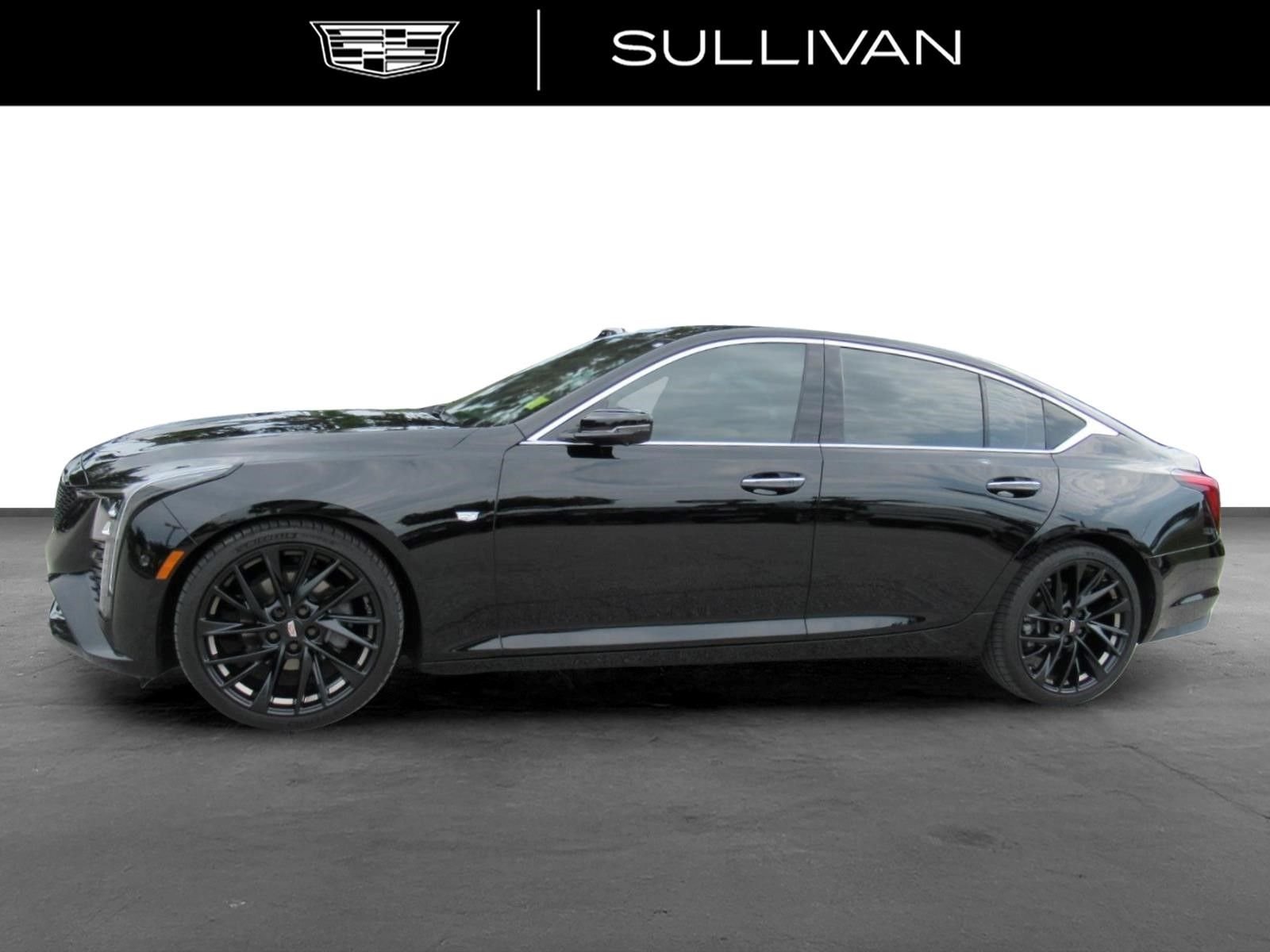Used 2025 Black Cadillac Premium Luxury image 5