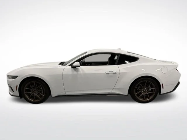 Used 2025 White Ford EcoBoost Premium image 5