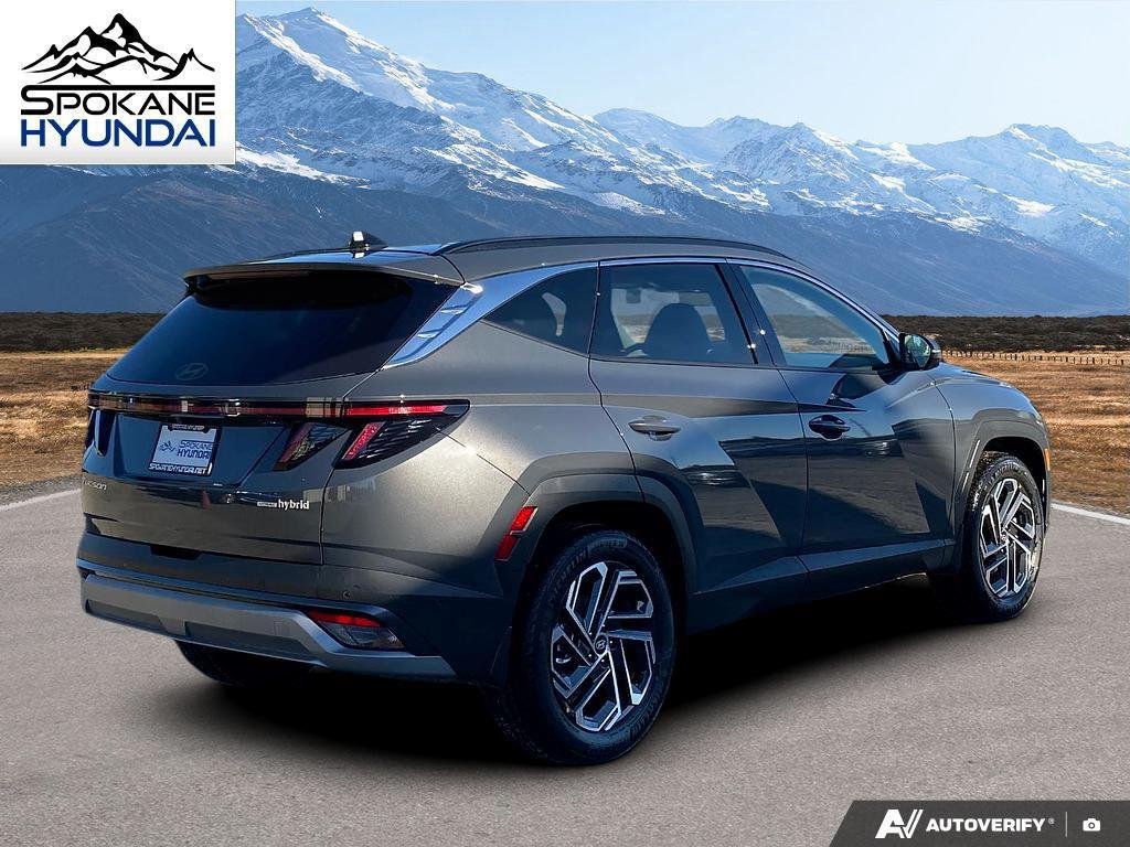New 2026 Ecotronic Gray Hyundai Limited image 5