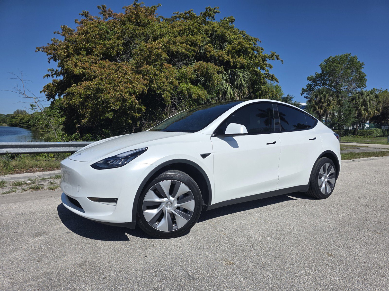 2023 Tesla Model Y Long Range Dual Motor All-Wheel Drive's photo