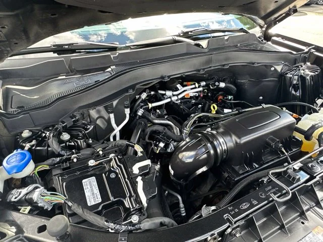 Photo 46