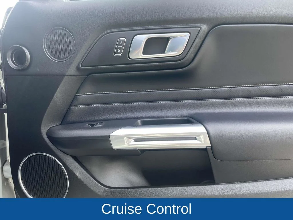 Used 2023 Gray Ford Mach 1 image 16