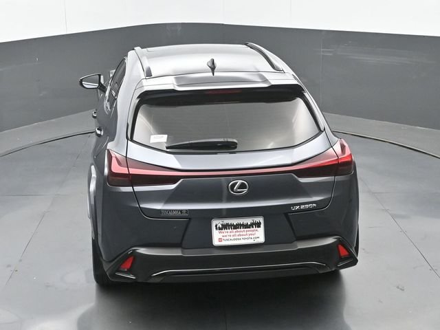 Used 2024 Obsidian Lexus 250h F SPORT Design image 30