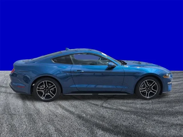 Certified Used 2022 2022 FORD MUSTANG ECOBOOST Ford EcoBoost image 3