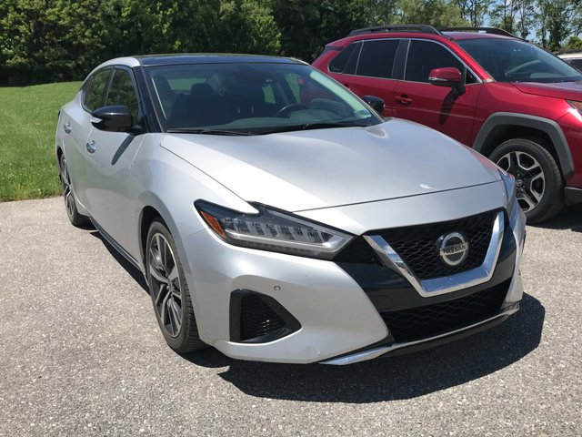 2020 Nissan Maxima SL's photo