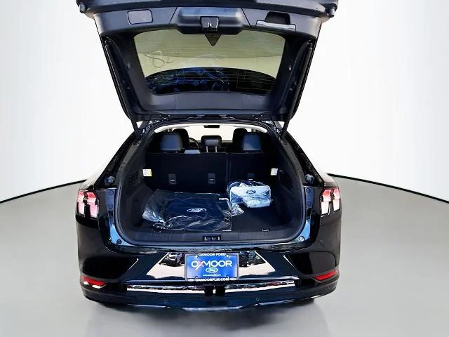 New 2026 Shadow Black Ford Premium image 62