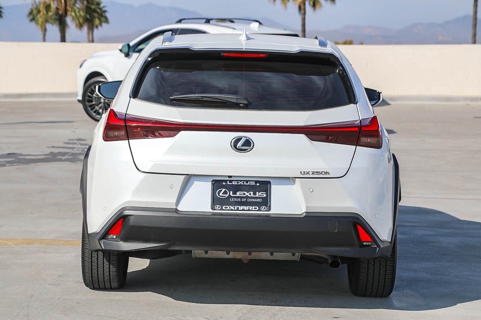 Used 2024 White Pearl Lexus 250h image 5