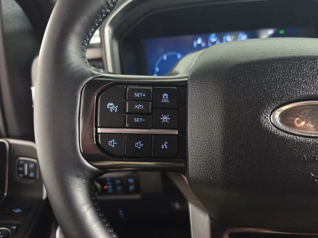 Used 2026 Black Metallic Ford Platinum image 18