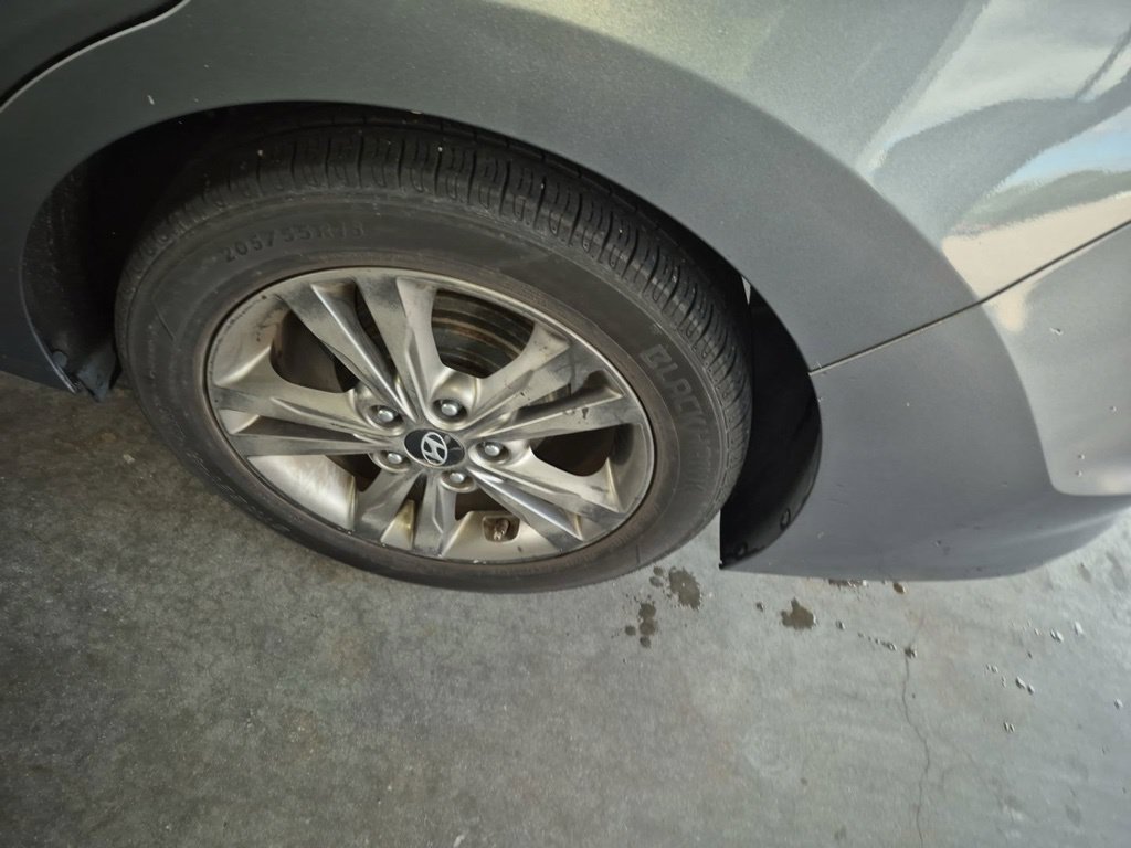 Photo 11