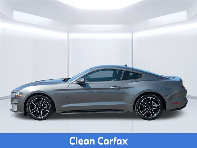 Used 2022 Gray Ford EcoBoost Premium image 2