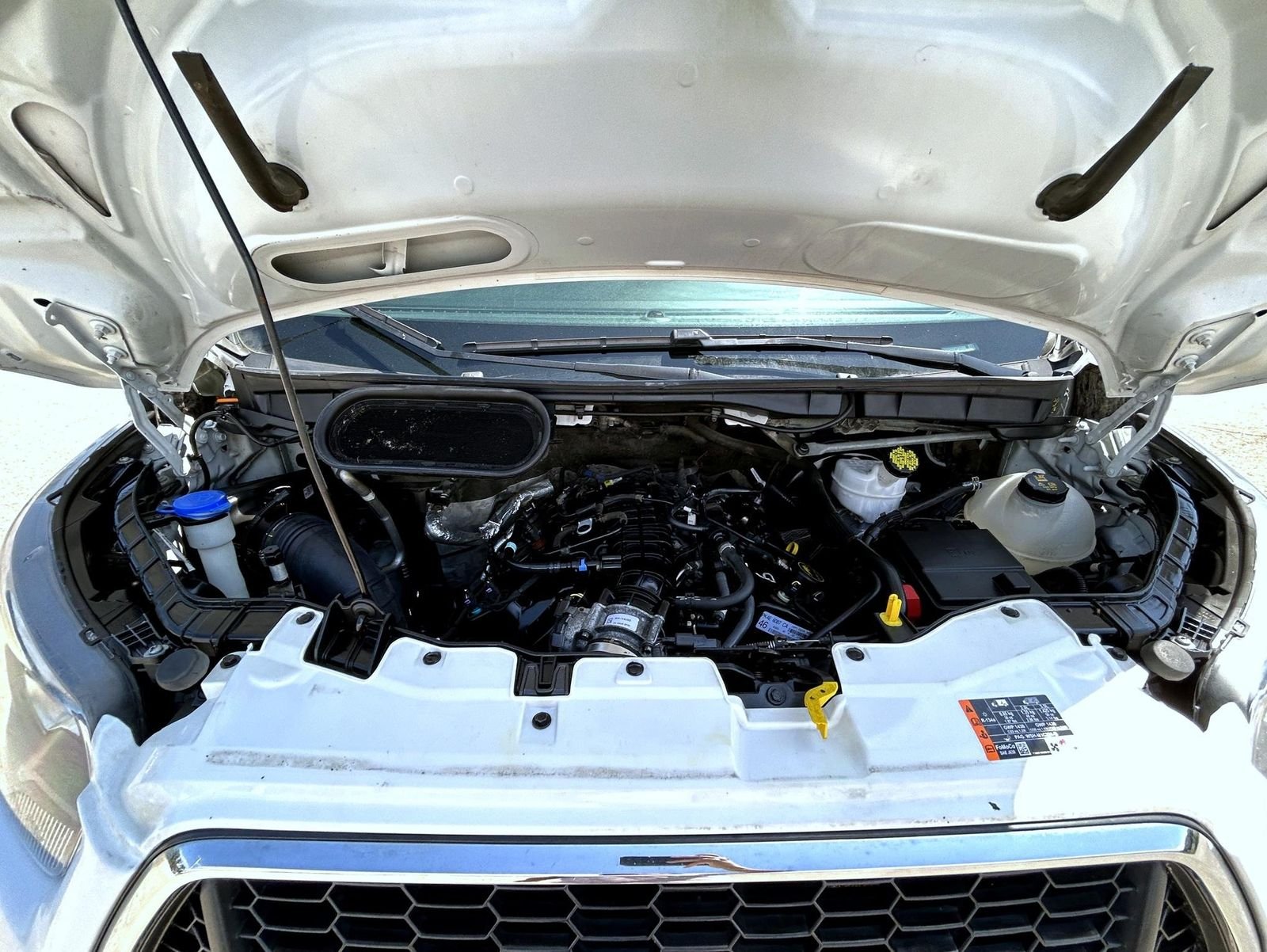 Used 2023 White Ford Base image 24
