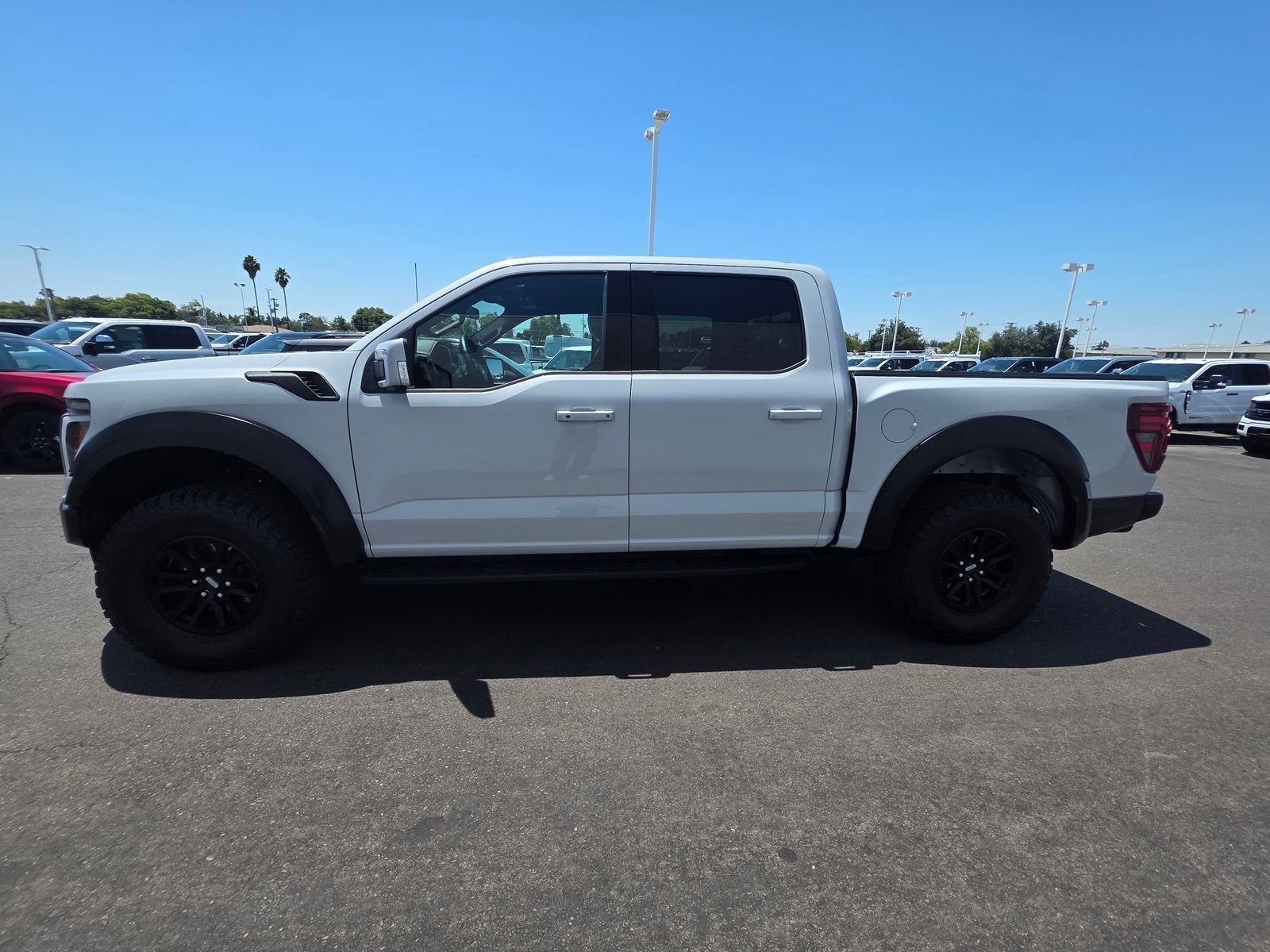 Used 2025 White Ford Raptor image 6