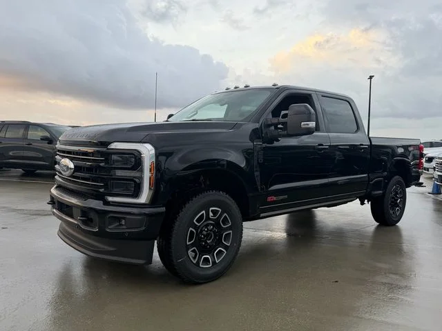 New 2026 Black Ford Platinum image 3