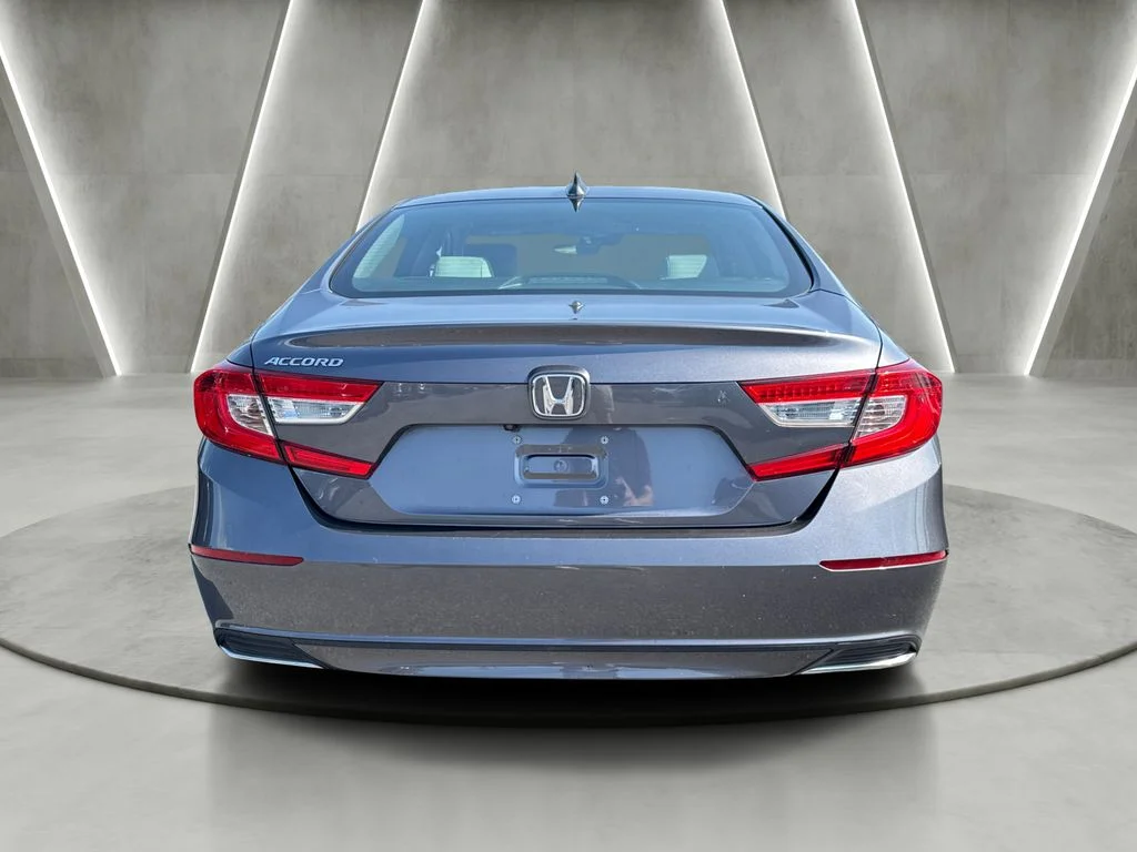 Used 2019 Gray Honda LX image 6