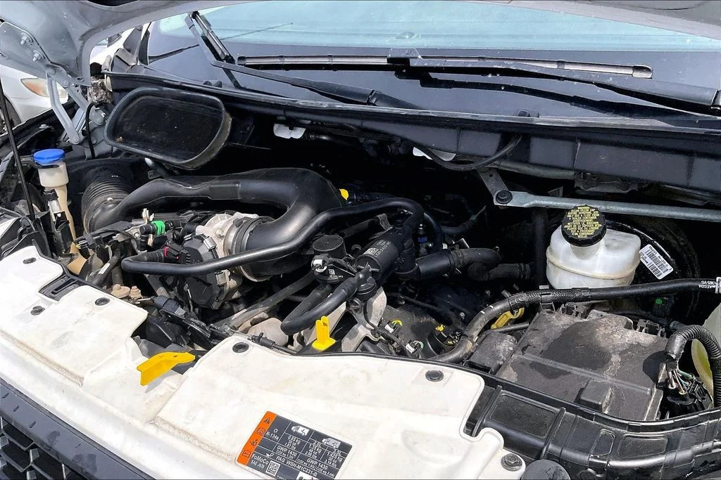 Used 2023 White Ford Base image 32