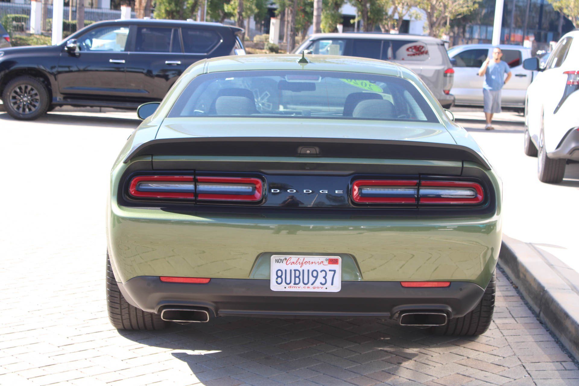 Photo 7