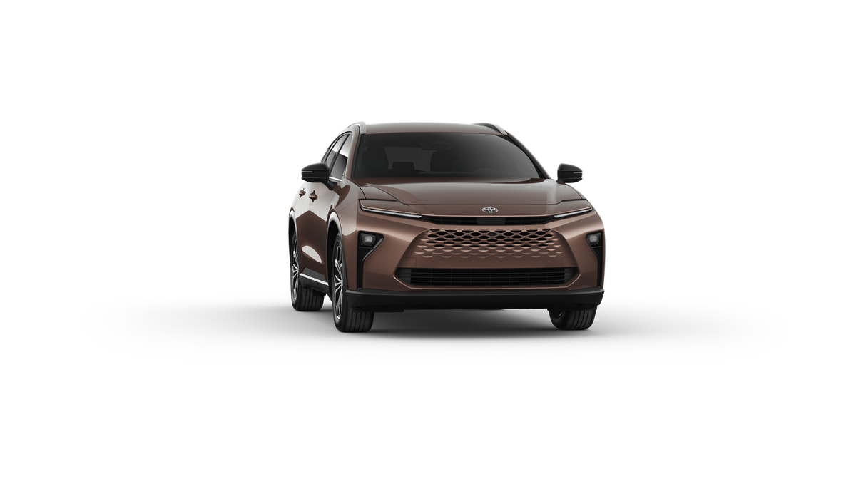New 2025 Bronze Age Toyota XLE image 30