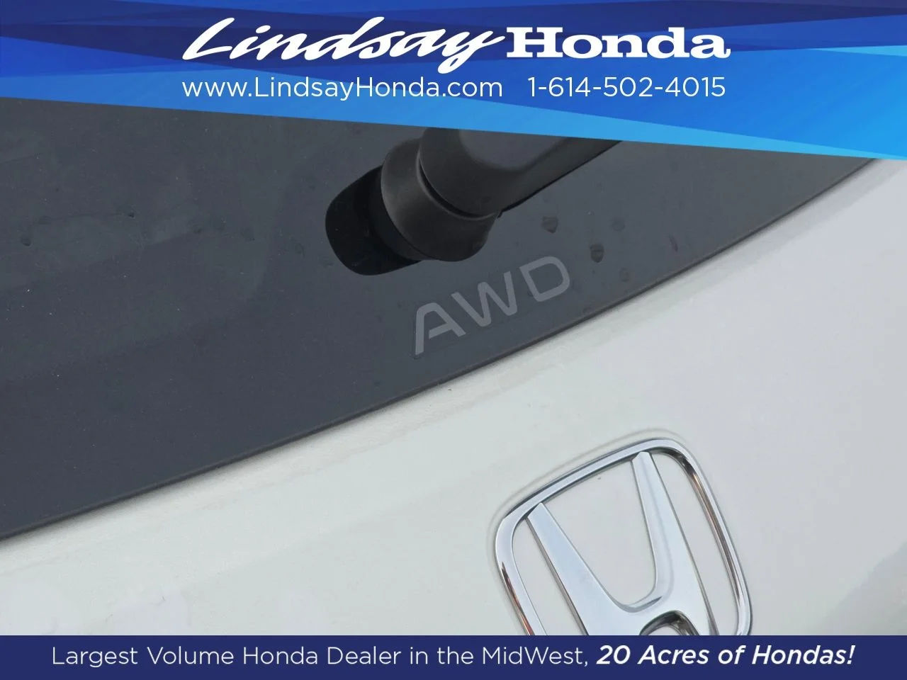 New 2027 Platinum White Pearl Honda EX-L image 14