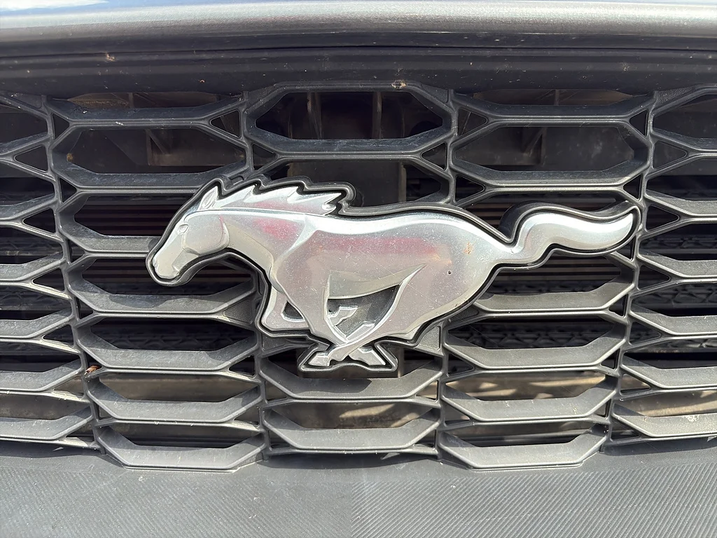 Used 2024 Carbonized Gray Ford  image 11