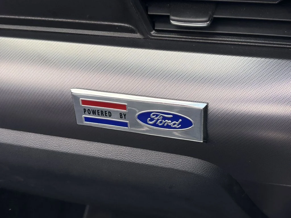 Used 2019 Black Ford GT Premium image 24