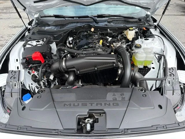2025 Ford Mustang EcoBoost Premium Fastback - Photo 41