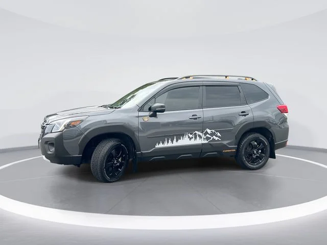 Used 2024 Gray Subaru Wilderness image 1