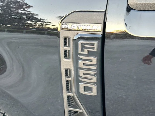 New 2026 Black Metallic Ford Platinum image 19