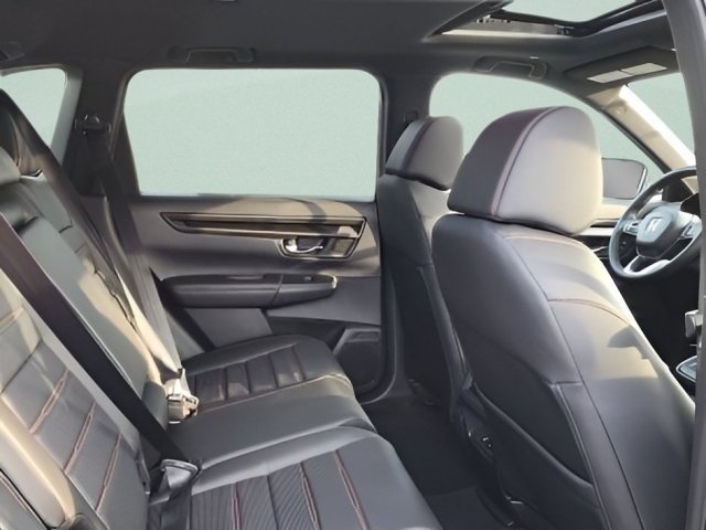 New 2026 Meteorite Gray Metallic Honda Sport-L image 19