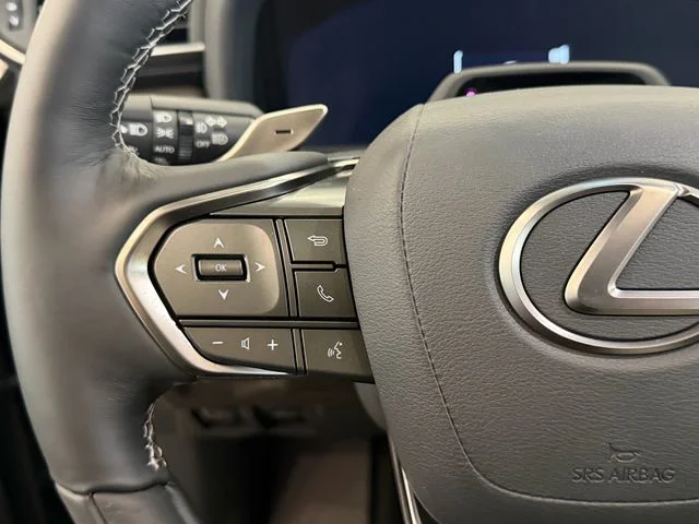 New 2026 Black Lexus 600 Luxury image 25