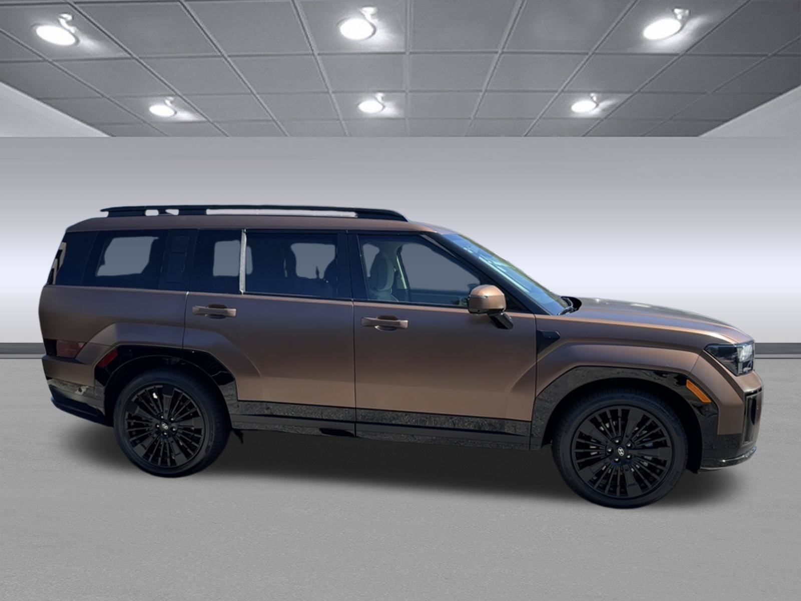 New 2026 Earthy Brass Matte Hyundai Calligraphy image 4