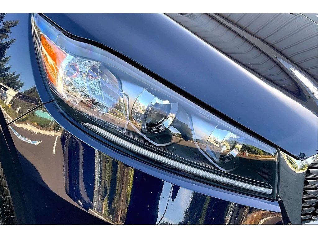 Used 2020 Imperial Blue Kia SX V6 image 29