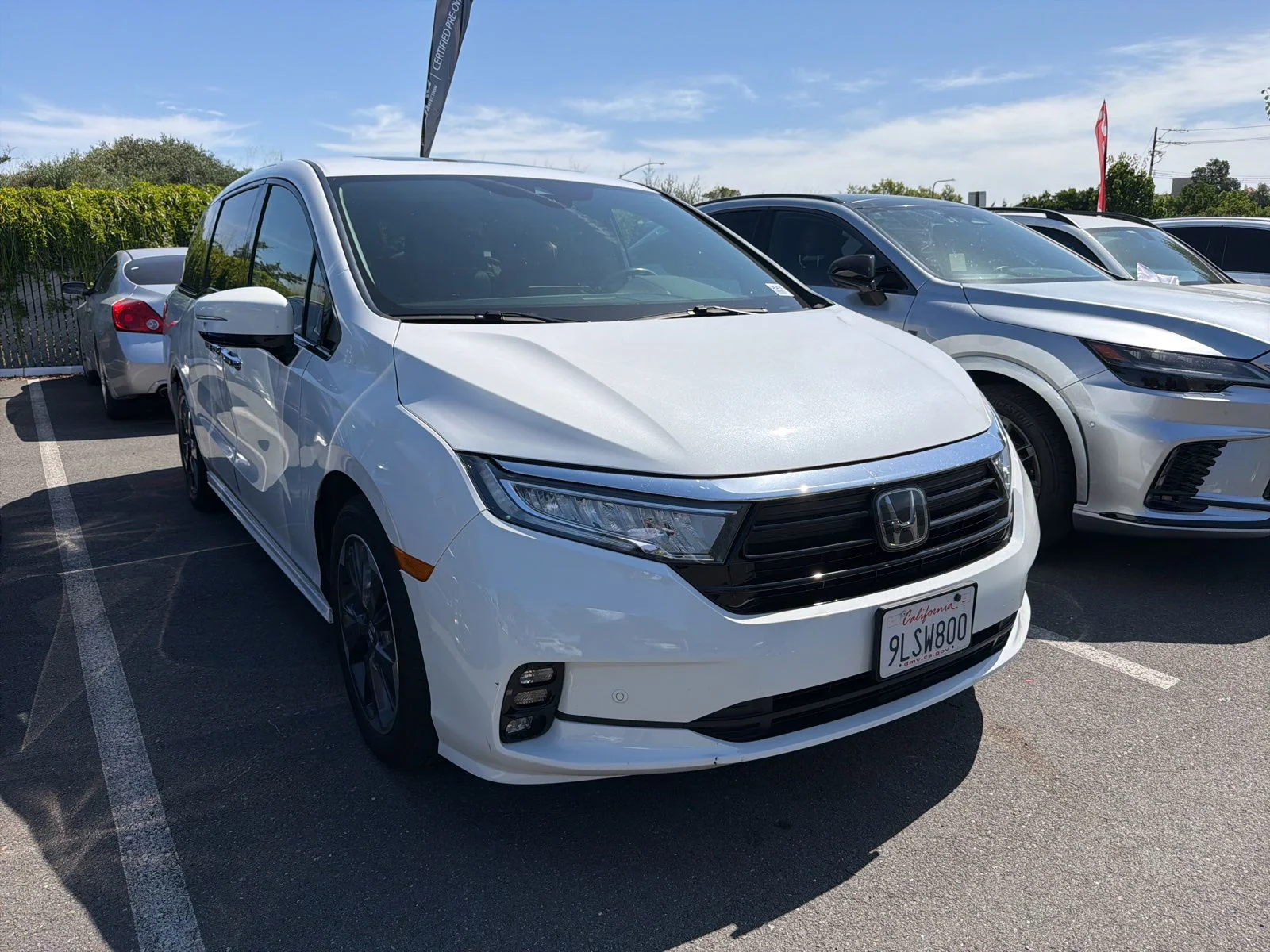2024 Honda Odyssey Elite's photo