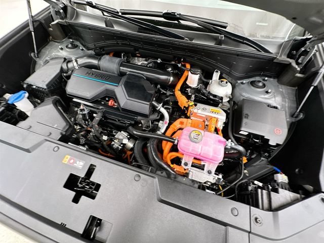 2025 Hyundai Santa Fe Calligraphy - Photo 38