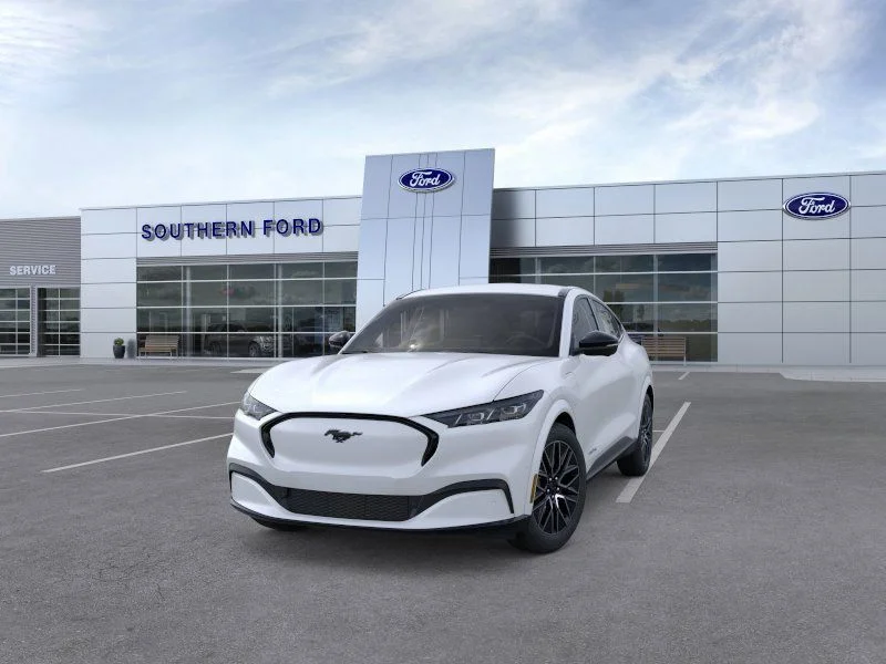 New 2025 White Ford Premium image 2