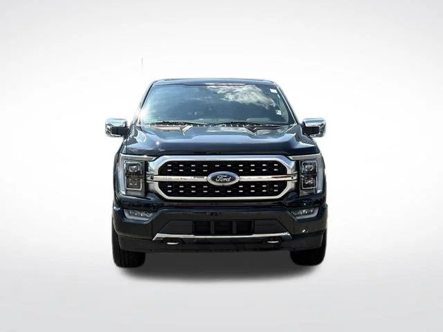 Used 2023 Black Ford Platinum image 2