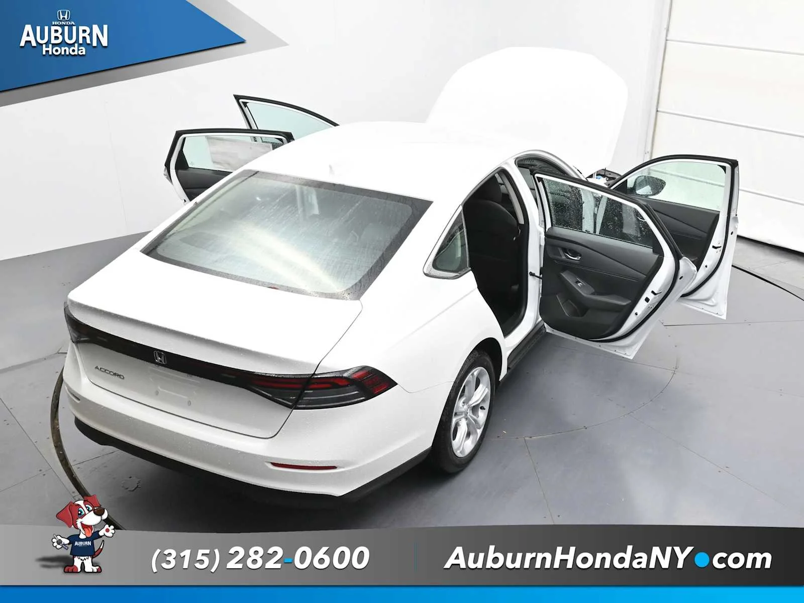 New 2025 Platinum White Pearl Honda LX image 36