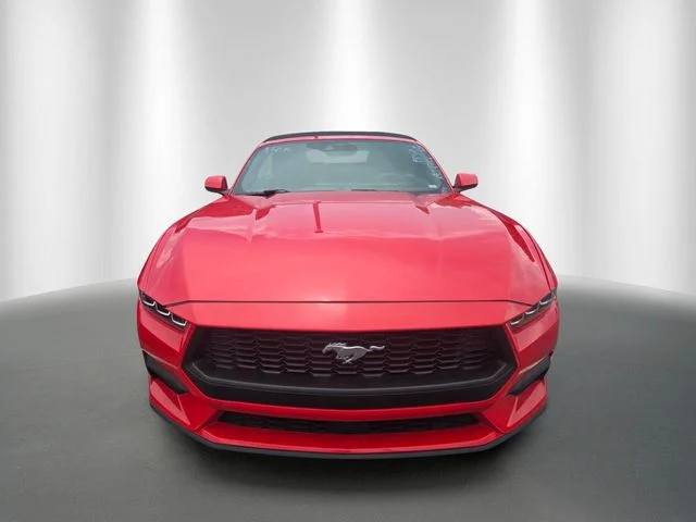 Certified Used 2024 Race Red Ford EcoBoost Premium image 6