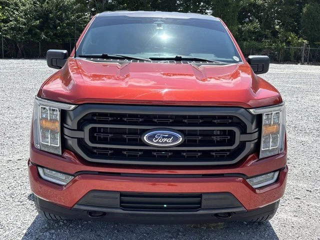 Used 2023 Red Ford XLT image 9