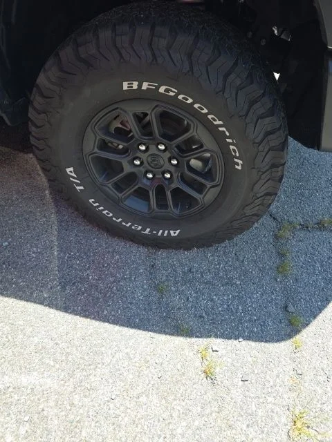 Used 2025 White Ram Rebel image 4