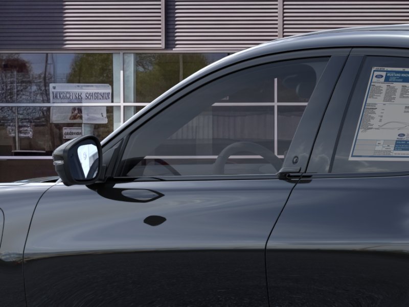 New 2026 Shadow Black Ford Premium image 20