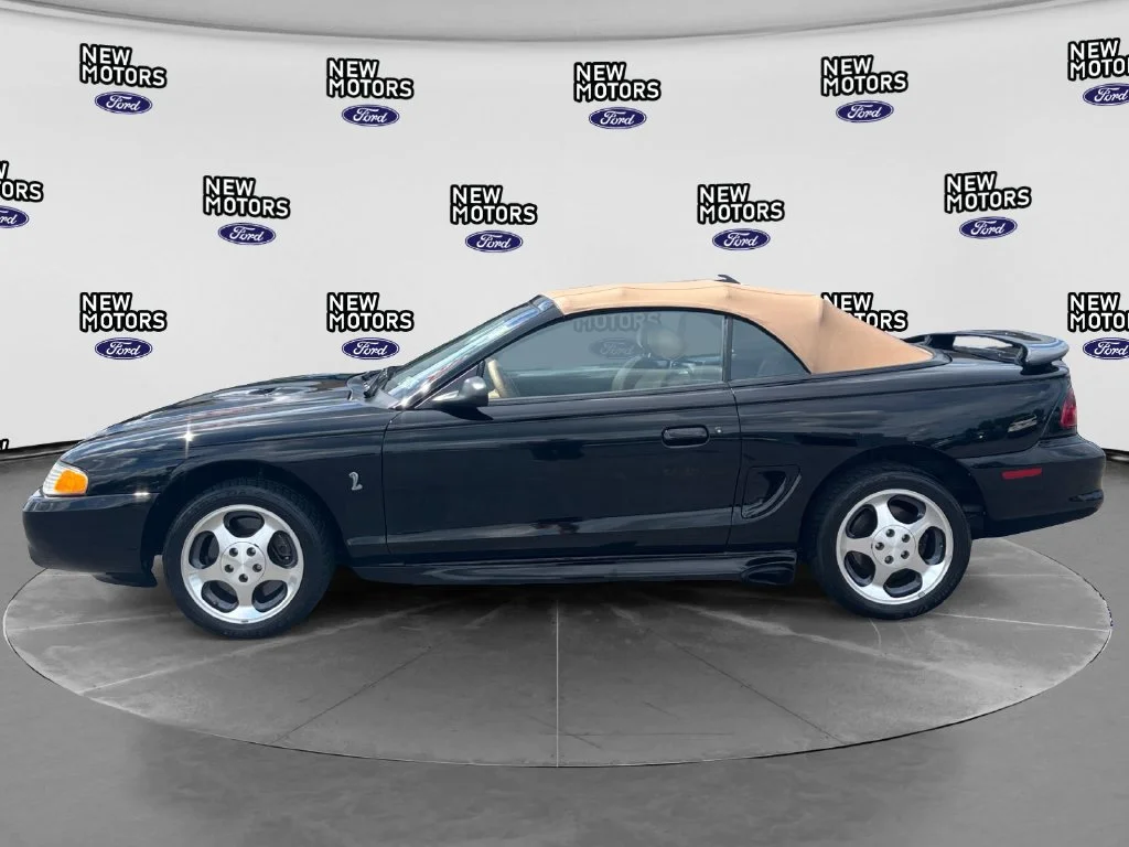 Used 1996 Black Ford Cobra image 2