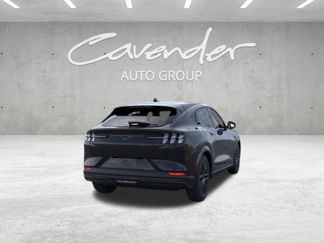 New 2026 Shadow Black Ford Premium image 9