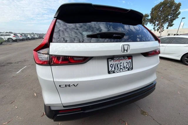 Used 2026 Platinum White Pearl Honda EX-L image 6