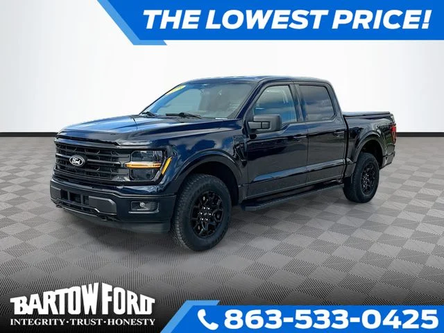 Used 2025 Blue Ford XLT image 1