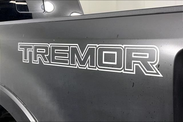 Used 2021 White Ford Lariat image 23