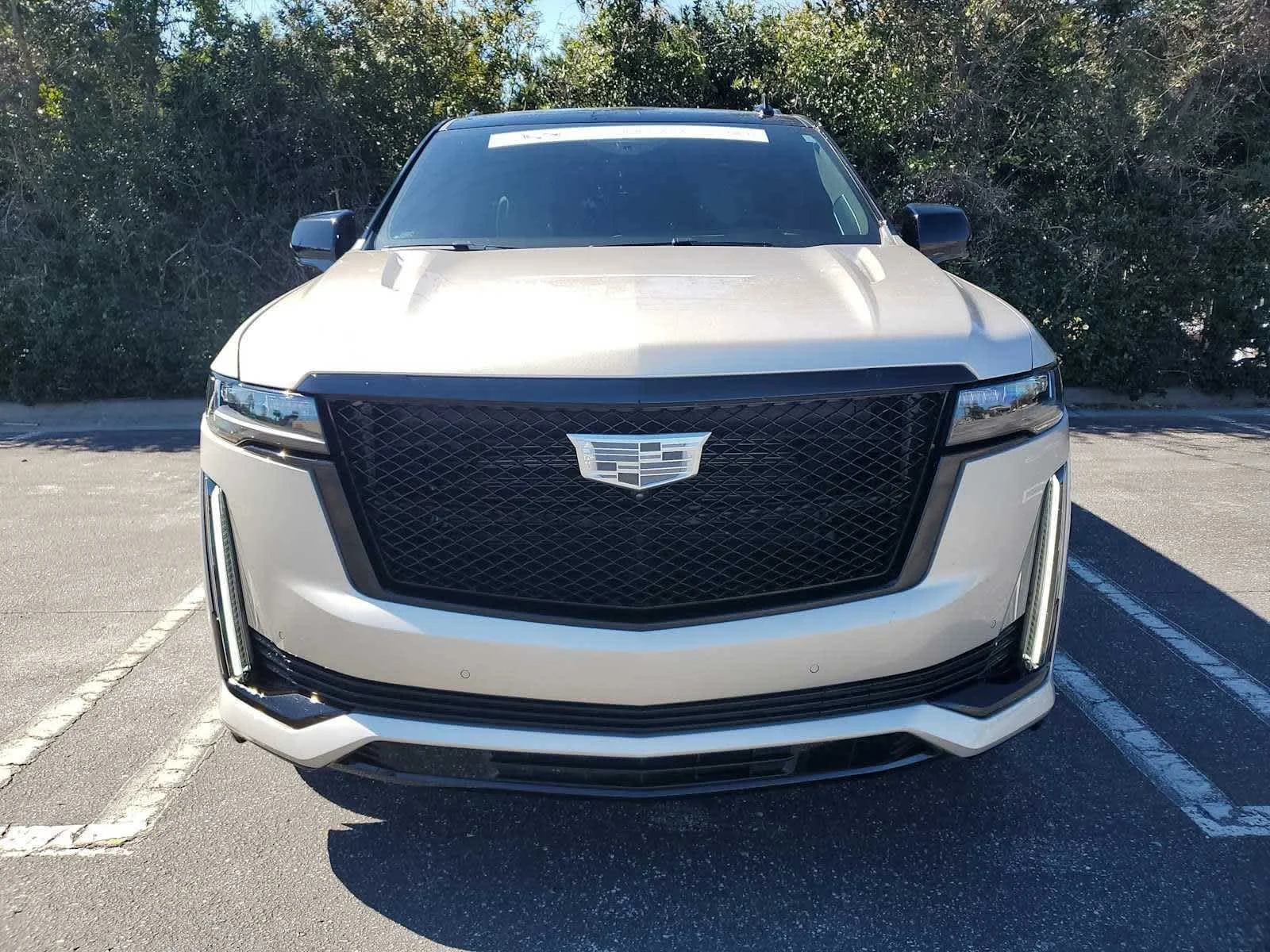 Used 2024 Sandstone Metallic Cadillac Sport Platinum image 8