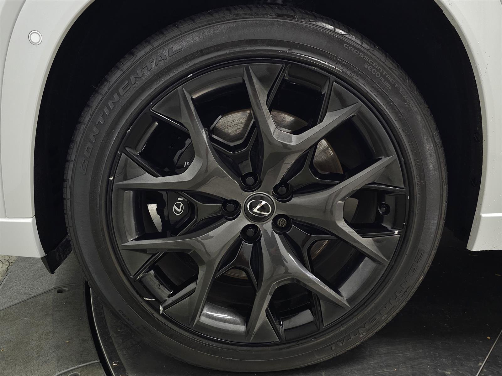 Certified Used 2024 White Lexus F SPORT PREMIUM image 14